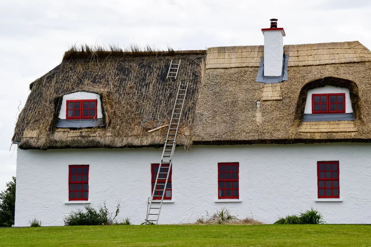 Acoperișul de stuf - o soluție tradițională pentru protejarea casei